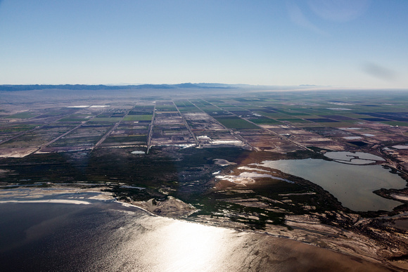 Mullet Island Alamo River Salton Sea Imperial Valley -3