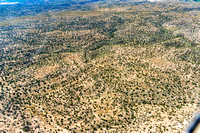 Coconino National Forest east of Camp Verde-18