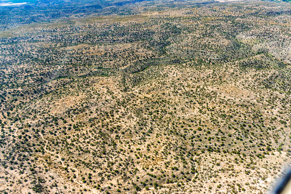 Coconino National Forest east of Camp Verde-18