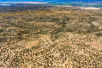 Coconino National Forest east of Camp Verde-19