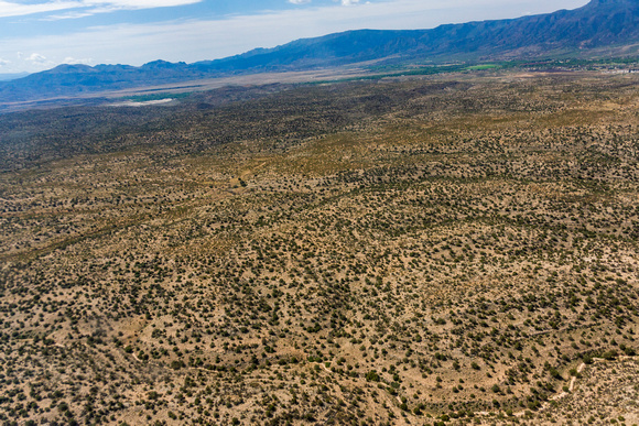 Coconino National Forest east of Camp Verde-21