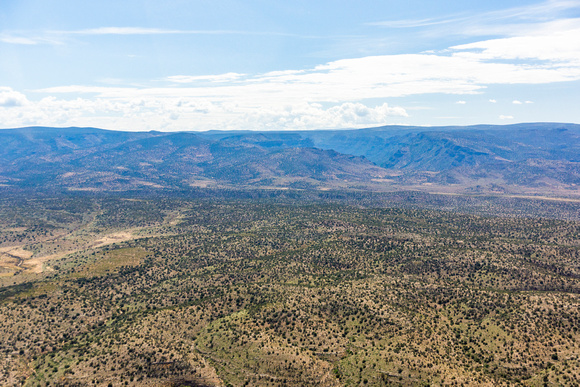Coconino National Forest east of Camp Verde-30
