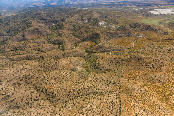 Coconino National Forest east of Camp Verde-31