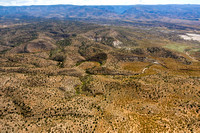 Coconino National Forest east of Camp Verde-32