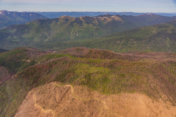 Kootenai National Forest Looking towards Flagstaff Mountain