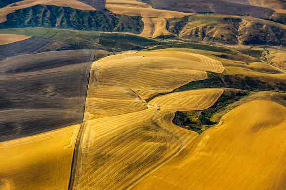 Agriculture along Snake River near Lewiston-3