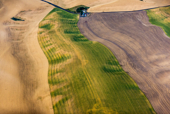 Agriculture along Snake River near Lewiston-5