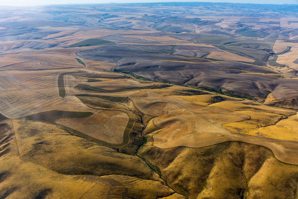 Agriculture along Snake River near Lewiston.ARW-4