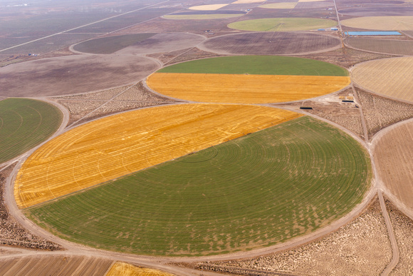 Center Pivot Irrigation San Luis Valley-4