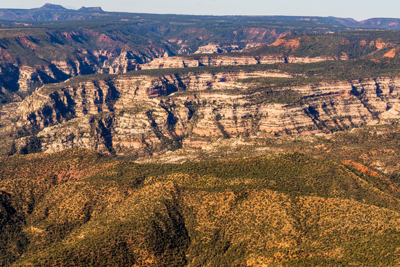 Hammond Canyon and Bears Ears Buttes-2