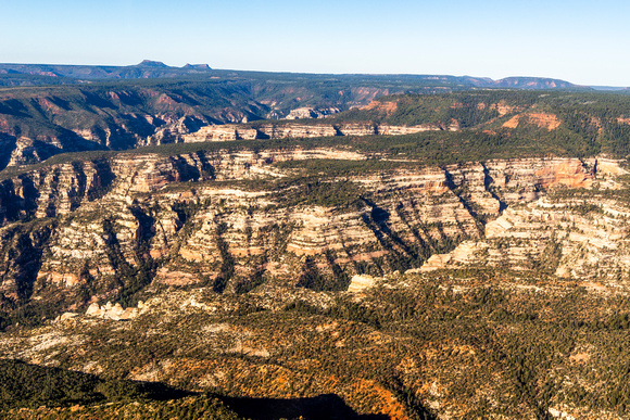 Hammond Canyon and Bears Ears Buttes