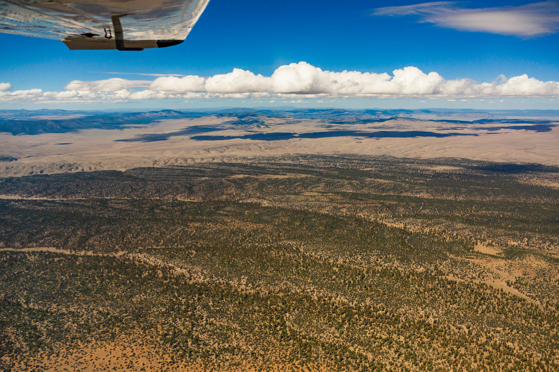 Looking west to Gila National Forest