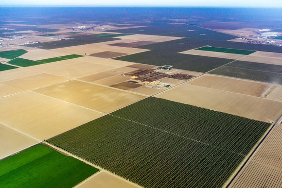 San Joaquin Valley Agriculture