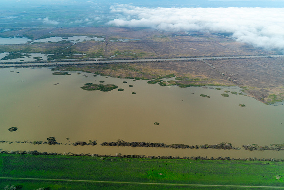 20240213_Sacramento_River_Floodplain_01-2