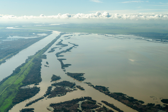 20240213_Sacramento_River_Floodplain_02-2