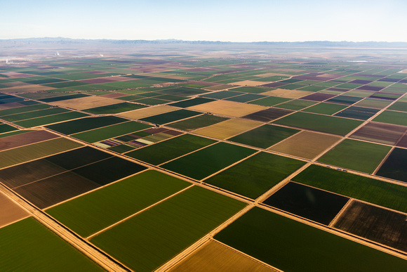 Imperial Valley agriculture