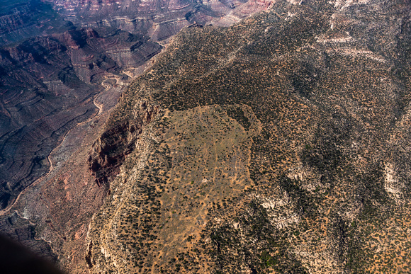 Dark Canyon Plateau-16