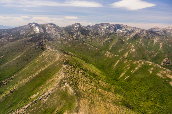 Ruby Mountains Wilderness Utah
