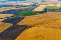 Agriculture near Bozeman MT-4