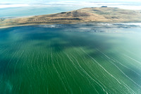 20250424_Fremont_Island_01