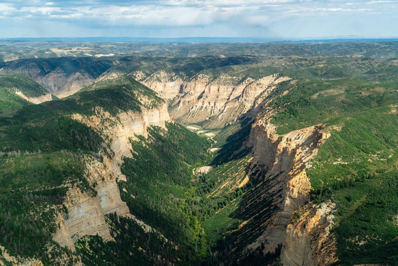 20240904_Flat_Top_Wilderness_area_01-6