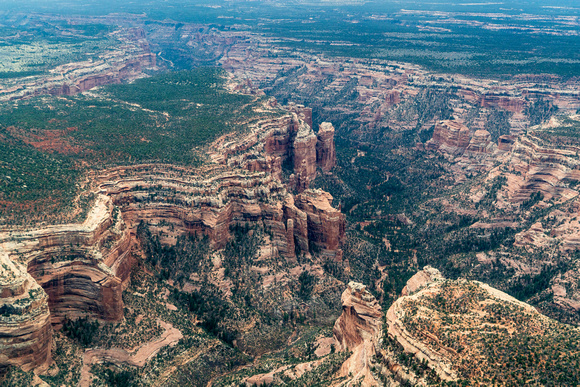 20250416_Natural_Bridges_National_Monument-_11