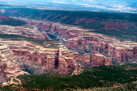 20250416_Natural_Bridges_National_Monument-_07