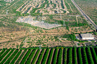 20240425_Agriculture_Tucson_AZ_08