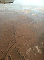 Pulse flow in the Colorado River Delta