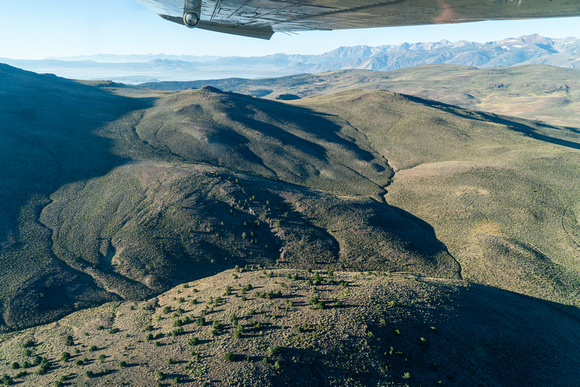 20240818_Bodie_Mountain_Wilderness_Study_Area_02