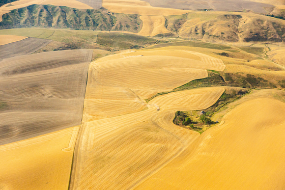 Agriculture along Snake River near Lewiston-3