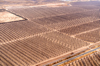 20250210_Agriculture_Near_Sahuarita_Arizona_03