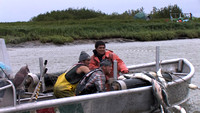 Alaska_Bristol_Bay_Salmon_Fishing