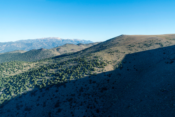 20240818_Bodie_Mountain_Wilderness_Study_Area_09