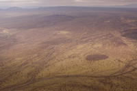 Joshua Tree forest from the air