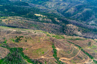 20240625_Clear_Cutting_Near_Quincy_CA_02