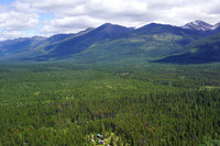 Forest Management in the Seeley Valley
