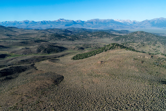 20240818_Bodie_Mountain_Wilderness_Study_Area_08